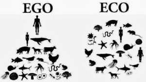 4 ego eco